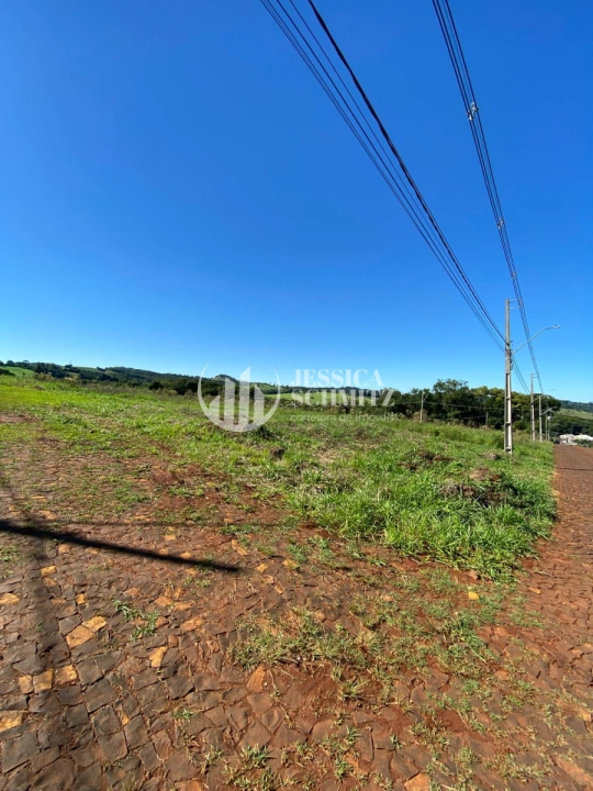 Imagem da galeria de fotos: Terreno/Lote Comercial Residencial para Venda - Santo Antônio do Sudoeste, Loteamento Pastório - REF: 2695