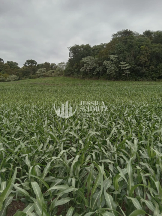 Sítio Rural para Venda - Dois Vizinhos, Linha Alto Empossado - REF: 2696 Imagem da galeria de fotos: Sítio Rural para Venda - Dois Vizinhos, Linha Alto Empossado - REF: 2696