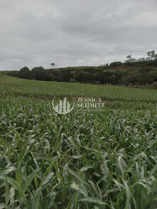 Sítio Rural para Venda - Dois Vizinhos, Linha Alto Empossado - REF: 2696 Imagem da galeria de fotos: Sítio Rural para Venda - Dois Vizinhos, Linha Alto Empossado - REF: 2696