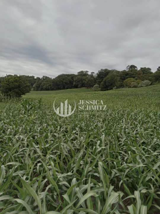 Sítio Rural para Venda - Dois Vizinhos, Linha Alto Empossado - REF: 2696 Imagem da galeria de fotos: Sítio Rural para Venda - Dois Vizinhos, Linha Alto Empossado - REF: 2696