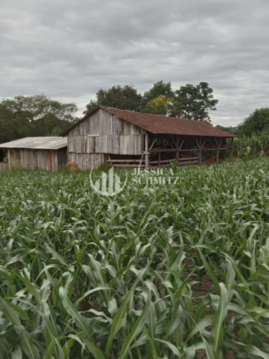Sítio Rural para Venda - Dois Vizinhos, Linha Alto Empossado - REF: 2696 Imagem da galeria de fotos: Sítio Rural para Venda - Dois Vizinhos, Linha Alto Empossado - REF: 2696