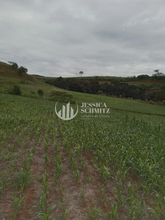 Sítio Rural para Venda - Dois Vizinhos, Linha Alto Empossado - REF: 2696 Imagem da galeria de fotos: Sítio Rural para Venda - Dois Vizinhos, Linha Alto Empossado - REF: 2696