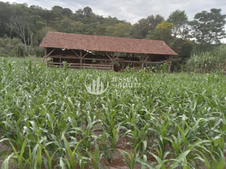 Sítio Rural para Venda - Dois Vizinhos, Linha Alto Empossado - REF: 2696 Imagem da galeria de fotos: Sítio Rural para Venda - Dois Vizinhos, Linha Alto Empossado - REF: 2696