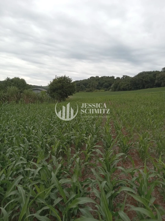 Sítio Rural para Venda - Dois Vizinhos, Linha Alto Empossado - REF: 2696 Imagem da galeria de fotos: Sítio Rural para Venda - Dois Vizinhos, Linha Alto Empossado - REF: 2696