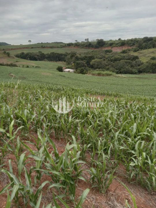 Sítio Rural para Venda - Dois Vizinhos, Linha Alto Empossado - REF: 2696 Imagem da galeria de fotos: Sítio Rural para Venda - Dois Vizinhos, Linha Alto Empossado - REF: 2696