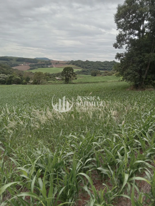 Sítio Rural para Venda - Dois Vizinhos, Linha Alto Empossado - REF: 2696 Imagem da galeria de fotos: Sítio Rural para Venda - Dois Vizinhos, Linha Alto Empossado - REF: 2696