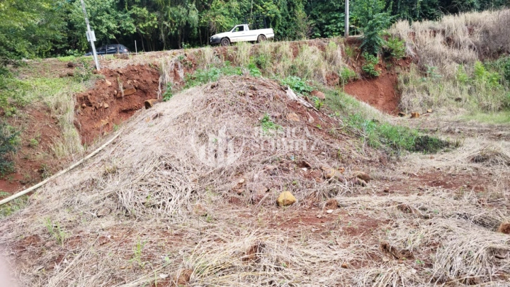 Imagem da galeria de fotos: Terreno/Lote Residencial para Venda - Nova Prata do Iguaçu, Loteamento Paineira - REF: 2752