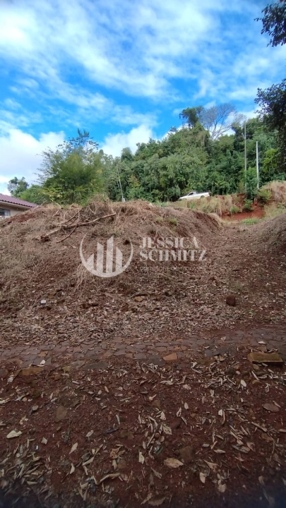 Imagem da galeria de fotos: Terreno/Lote Residencial para Venda - Nova Prata do Iguaçu, Loteamento Paineira - REF: 2752