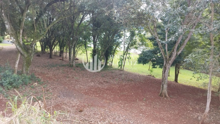 Imagem da galeria de fotos: Terreno/Lote Residencial para Venda - Nova Prata do Iguaçu, Loteamento Paineira - REF: 2752