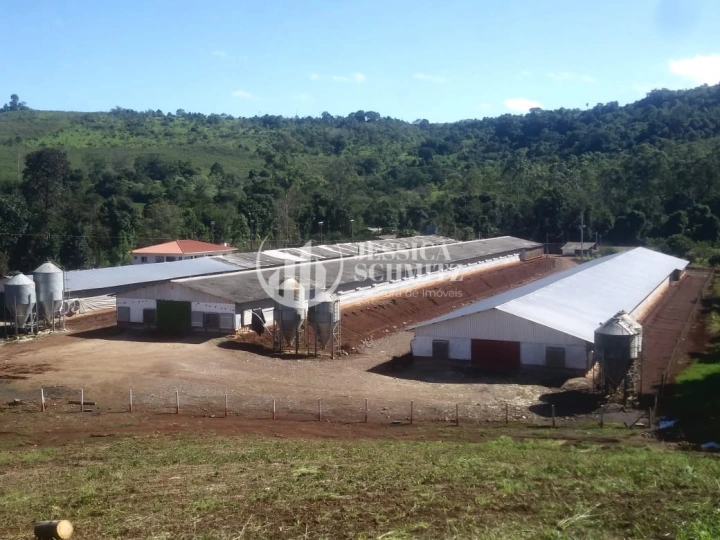 Sítio Rural para Venda - Dois Vizinhos, Comunidade São Pedro dos Poloneses - REF: 2762 Imagem da galeria de fotos: Sítio Rural para Venda - Dois Vizinhos, Comunidade São Pedro dos Poloneses - REF: 2762