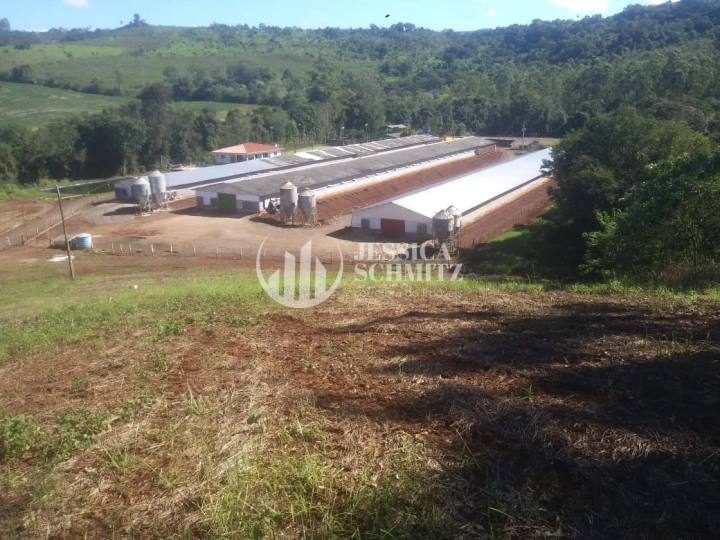 Sítio Rural para Venda - Dois Vizinhos, Comunidade São Pedro dos Poloneses - REF: 2762 Imagem da galeria de fotos: Sítio Rural para Venda - Dois Vizinhos, Comunidade São Pedro dos Poloneses - REF: 2762