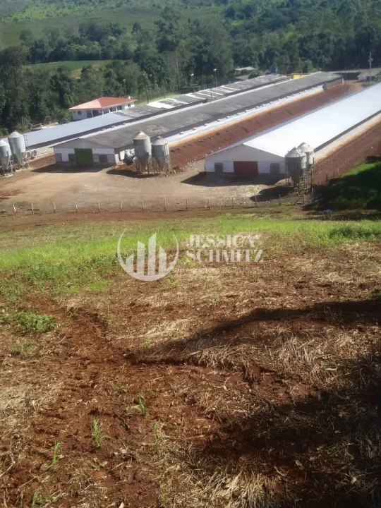 Sítio Rural para Venda - Dois Vizinhos, Comunidade São Pedro dos Poloneses - REF: 2762 Imagem da galeria de fotos: Sítio Rural para Venda - Dois Vizinhos, Comunidade São Pedro dos Poloneses - REF: 2762