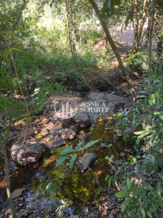 Imagem da galeria de fotos: Chácara Rural para Venda - Dois Vizinhos, Comunidade São Francisco do Bandeira - REF: 2763