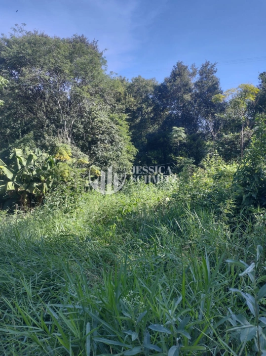 Imagem da galeria de fotos: Chácara Rural para Venda - Dois Vizinhos, Comunidade São Francisco do Bandeira - REF: 2763