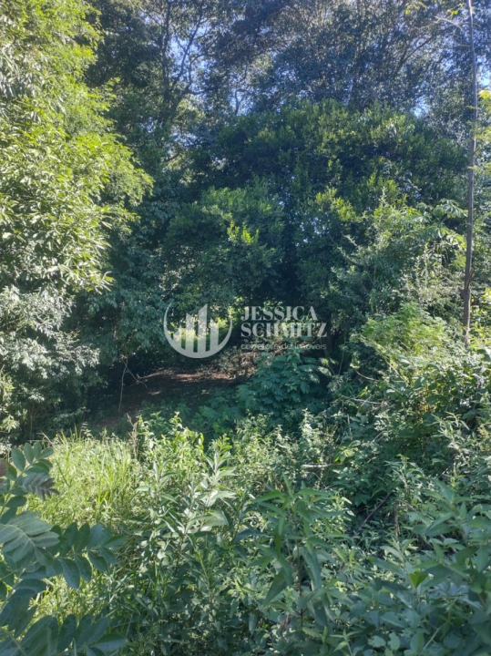 Imagem da galeria de fotos: Chácara Rural para Venda - Dois Vizinhos, Comunidade São Francisco do Bandeira - REF: 2763