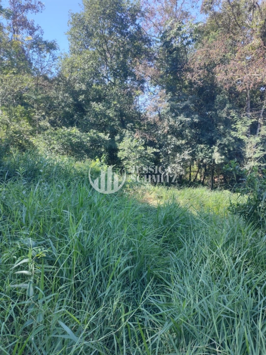 Imagem da galeria de fotos: Chácara Rural para Venda - Dois Vizinhos, Comunidade São Francisco do Bandeira - REF: 2763