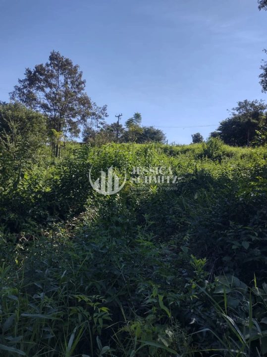 Imagem da galeria de fotos: Chácara Rural para Venda - Dois Vizinhos, Comunidade São Francisco do Bandeira - REF: 2763