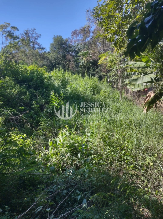 Imagem da galeria de fotos: Chácara Rural para Venda - Dois Vizinhos, Comunidade São Francisco do Bandeira - REF: 2763