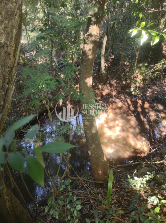 Imagem da galeria de fotos: Chácara Rural para Venda - Dois Vizinhos, Comunidade São Francisco do Bandeira - REF: 2763