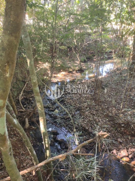 Imagem da galeria de fotos: Chácara Rural para Venda - Dois Vizinhos, Comunidade São Francisco do Bandeira - REF: 2763