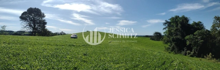 Sítio Rural para Venda - Cruzeiro do Iguaçu, Linha Alto Erveira - REF: 2768 Imagem da galeria de fotos: Sítio Rural para Venda - Cruzeiro do Iguaçu, Linha Alto Erveira - REF: 2768