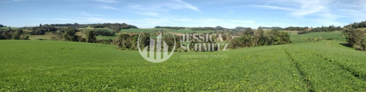 Sítio Rural para Venda - Cruzeiro do Iguaçu, Linha Alto Erveira - REF: 2768 Imagem da galeria de fotos: Sítio Rural para Venda - Cruzeiro do Iguaçu, Linha Alto Erveira - REF: 2768