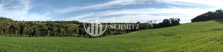 Sítio Rural para Venda - Cruzeiro do Iguaçu, Linha Alto Erveira - REF: 2768 Imagem da galeria de fotos: Sítio Rural para Venda - Cruzeiro do Iguaçu, Linha Alto Erveira - REF: 2768
