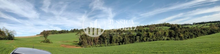 Sítio Rural para Venda - Cruzeiro do Iguaçu, Linha Alto Erveira - REF: 2768 Imagem da galeria de fotos: Sítio Rural para Venda - Cruzeiro do Iguaçu, Linha Alto Erveira - REF: 2768