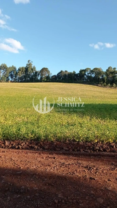 Sítio Rural para Venda - Cruzeiro do Iguaçu, Linha Alto Erveira - REF: 2768 Imagem da galeria de fotos: Sítio Rural para Venda - Cruzeiro do Iguaçu, Linha Alto Erveira - REF: 2768