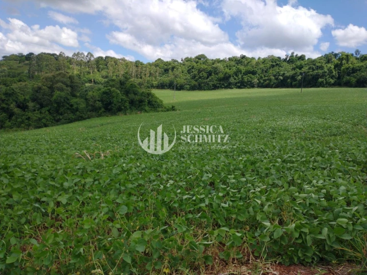 Sítio Rural para Venda - Cruzeiro do Iguaçu, Linha Alto Erveira - REF: 2768 Imagem da galeria de fotos: Sítio Rural para Venda - Cruzeiro do Iguaçu, Linha Alto Erveira - REF: 2768