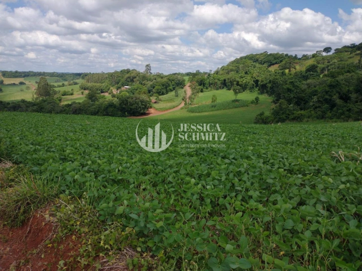 Sítio Rural para Venda - Cruzeiro do Iguaçu, Linha Alto Erveira - REF: 2768 Imagem da galeria de fotos: Sítio Rural para Venda - Cruzeiro do Iguaçu, Linha Alto Erveira - REF: 2768