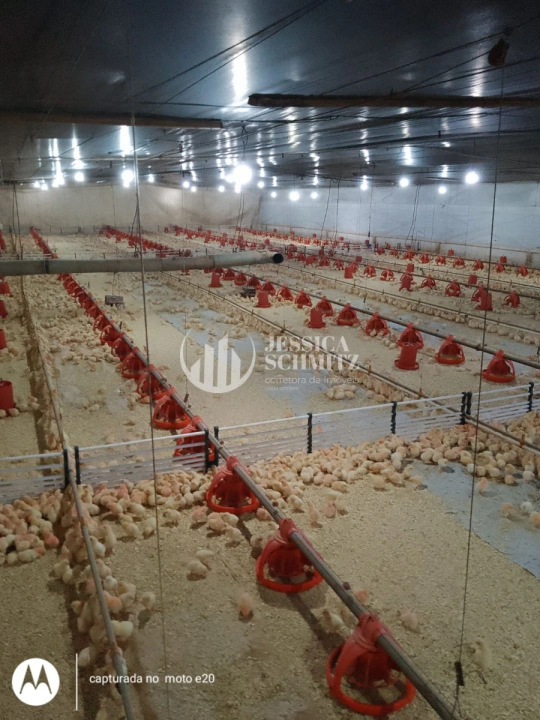 Imagem da galeria de fotos: Sítio Rural para Venda - Salto do Lontra, Comunidade Santa Terezinha - REF: 2777