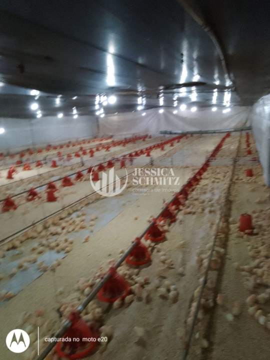 Imagem da galeria de fotos: Sítio Rural para Venda - Salto do Lontra, Comunidade Santa Terezinha - REF: 2777