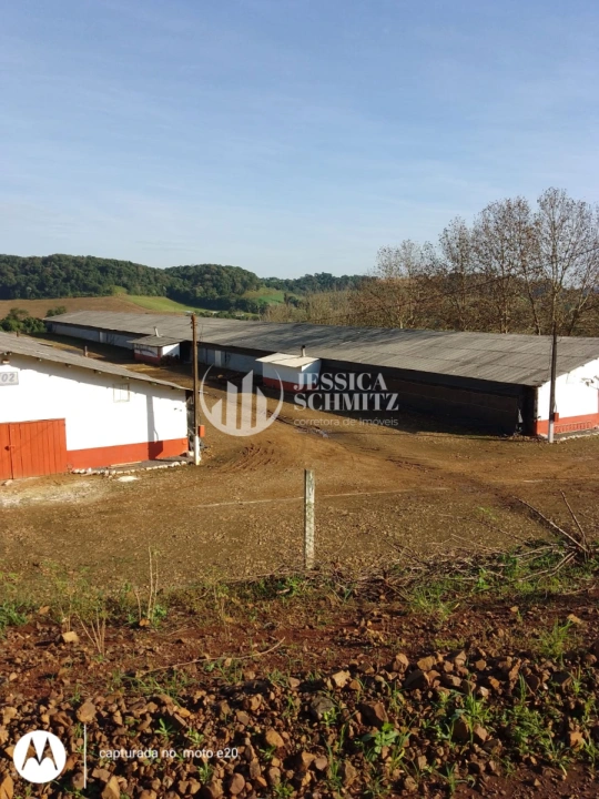 Imagem da galeria de fotos: Sítio Rural para Venda - Salto do Lontra, Comunidade Santa Terezinha - REF: 2777