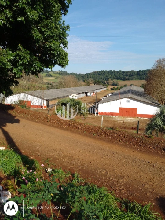 Imagem da galeria de fotos: Sítio Rural para Venda - Salto do Lontra, Comunidade Santa Terezinha - REF: 2777