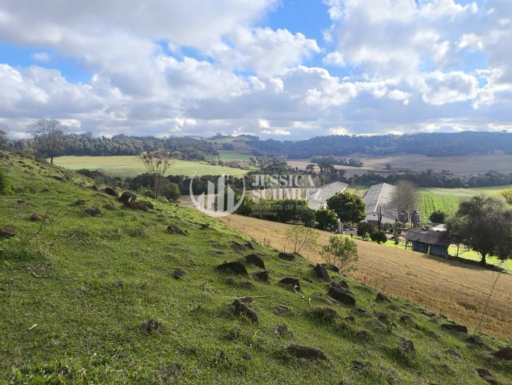 Imagem da galeria de fotos: Sítio Rural para Venda - Salto do Lontra, Comunidade Santa Terezinha - REF: 2777