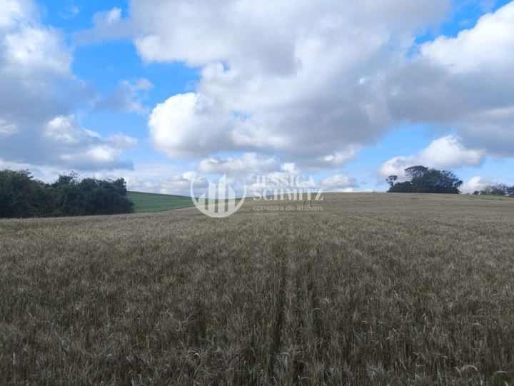Imagem da galeria de fotos: Sítio Rural para Venda - Salto do Lontra, Comunidade Santa Terezinha - REF: 2777