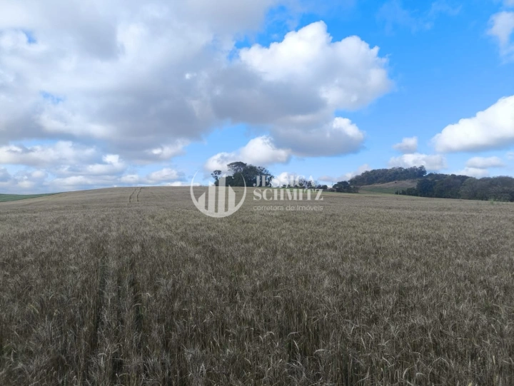 Imagem da galeria de fotos: Sítio Rural para Venda - Salto do Lontra, Comunidade Santa Terezinha - REF: 2777