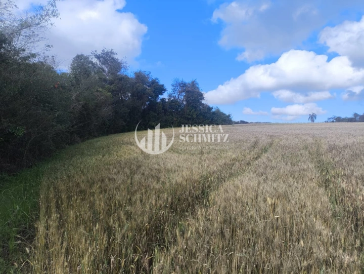 Imagem da galeria de fotos: Sítio Rural para Venda - Salto do Lontra, Comunidade Santa Terezinha - REF: 2777