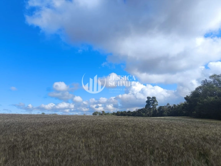 Imagem da galeria de fotos: Sítio Rural para Venda - Salto do Lontra, Comunidade Santa Terezinha - REF: 2777