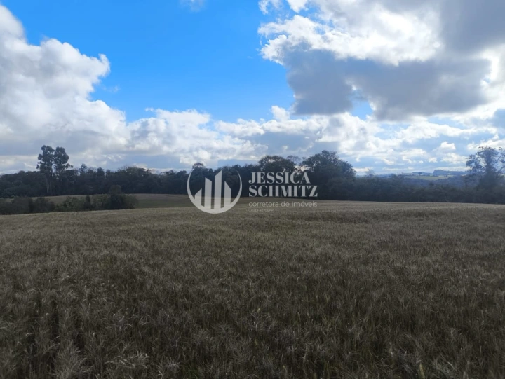 Imagem da galeria de fotos: Sítio Rural para Venda - Salto do Lontra, Comunidade Santa Terezinha - REF: 2777