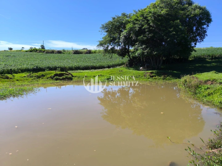 Chácara Rural para Venda - São Jorge d'Oeste, Comunidade São Judas - REF: 2780 Imagem da galeria de fotos: Chácara Rural para Venda - São Jorge d'Oeste, Comunidade São Judas - REF: 2780