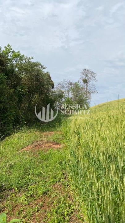 Sítio Rural para Venda - São Jorge d'Oeste, Comunidade Nova Santana - REF: 2781 Imagem da galeria de fotos: Sítio Rural para Venda - São Jorge d'Oeste, Comunidade Nova Santana - REF: 2781