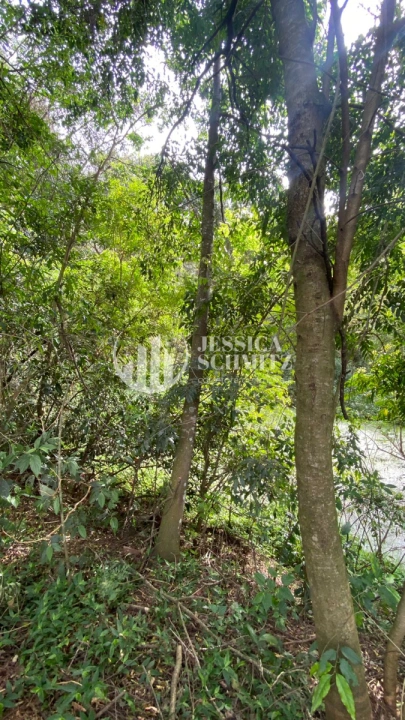 Sítio Rural para Venda - São Jorge d'Oeste, Comunidade Nova Santana - REF: 2781 Imagem da galeria de fotos: Sítio Rural para Venda - São Jorge d'Oeste, Comunidade Nova Santana - REF: 2781