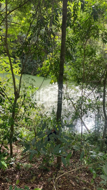 Sítio Rural para Venda - São Jorge d'Oeste, Comunidade Nova Santana - REF: 2781 Imagem da galeria de fotos: Sítio Rural para Venda - São Jorge d'Oeste, Comunidade Nova Santana - REF: 2781