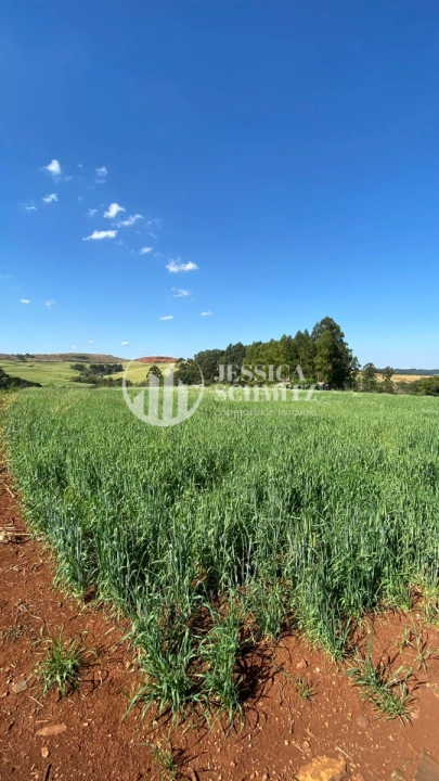 Imagem da galeria de fotos: Sítio Rural para Venda - Dois Vizinhos, Linha Santo Antônio - REF: 2830