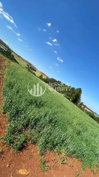 Imagem da galeria de fotos: Sítio Rural para Venda - Dois Vizinhos, Linha Santo Antônio - REF: 2830