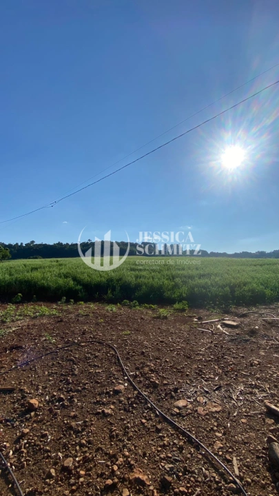 Imagem da galeria de fotos: Sítio Rural para Venda - Dois Vizinhos, Linha Santo Antônio - REF: 2830