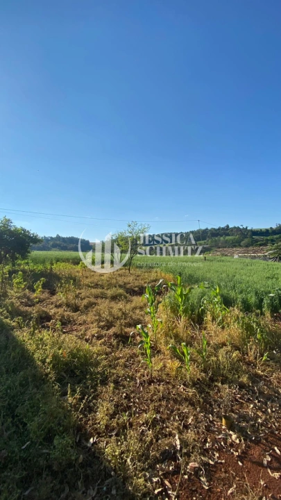 Imagem da galeria de fotos: Sítio Rural para Venda - Dois Vizinhos, Linha Santo Antônio - REF: 2830