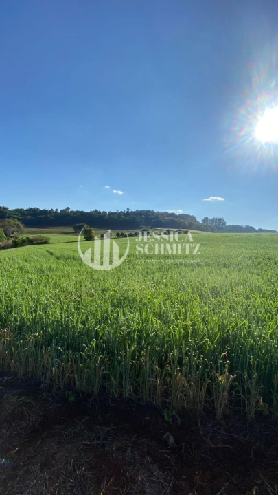 Imagem da galeria de fotos: Sítio Rural para Venda - Dois Vizinhos, Linha Santo Antônio - REF: 2830